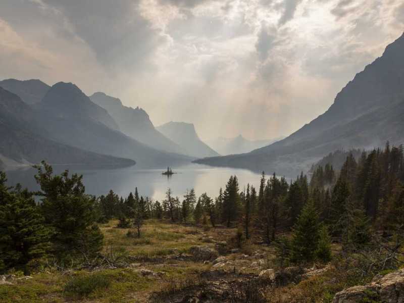 Stres zapanował nad twoim życiem? Wykąp się w&nbsp;lesie